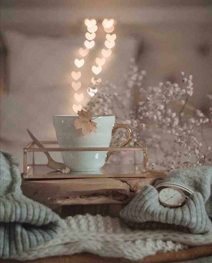 caffe