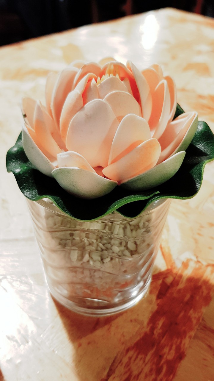 I want to be a true flower
