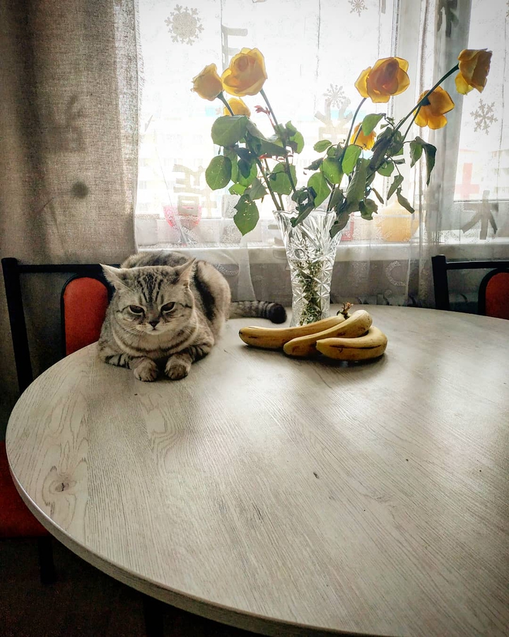 Джемик
