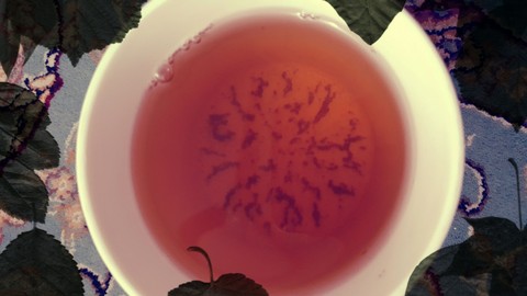 afternoon tea