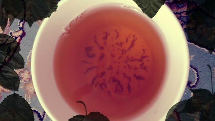 afternoon tea