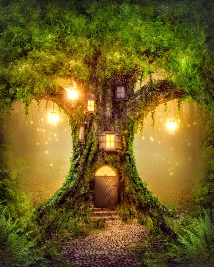 beautiful nature