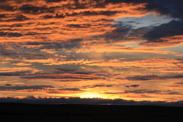 A red dawn in the Masai Mara