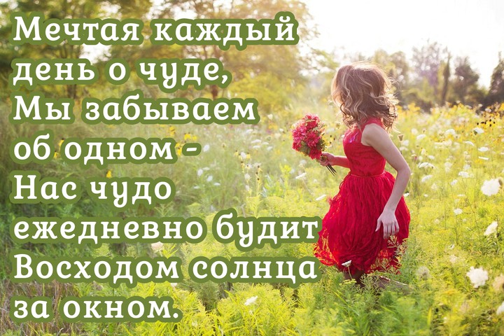 доброе утро