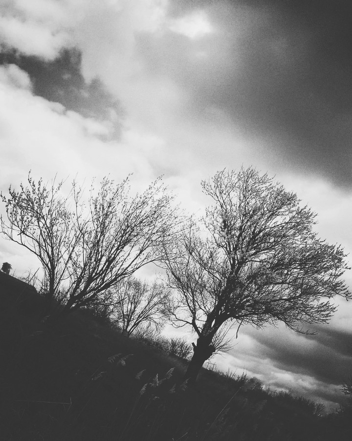 природа