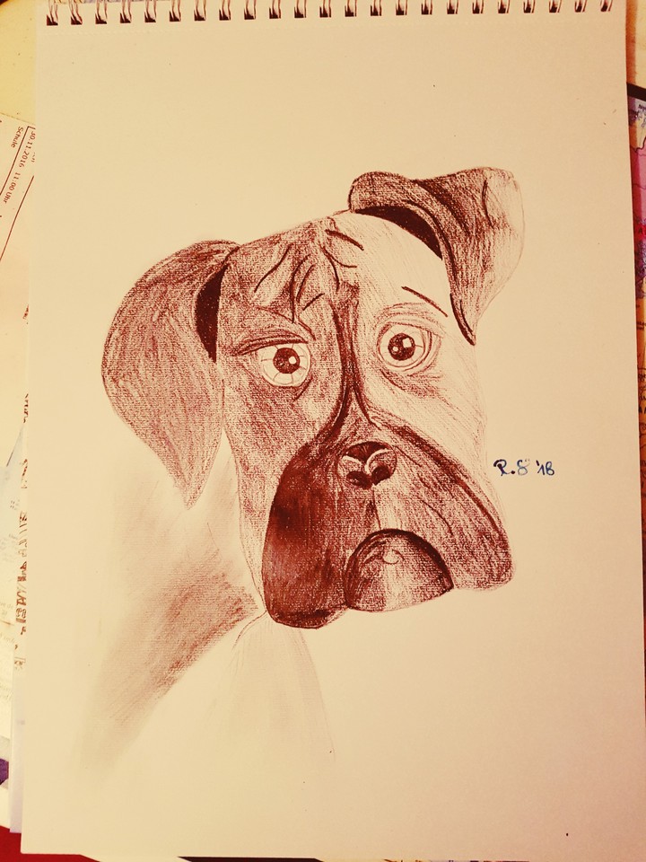 dog