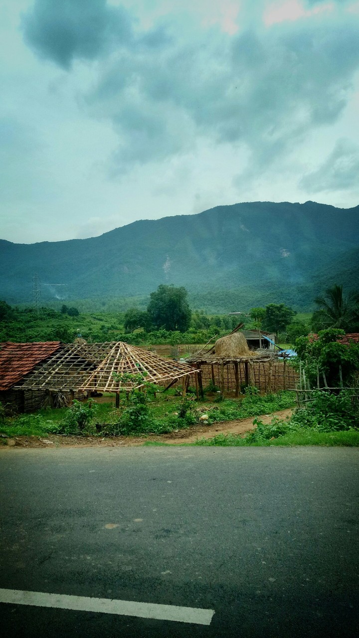 Araku Beauty