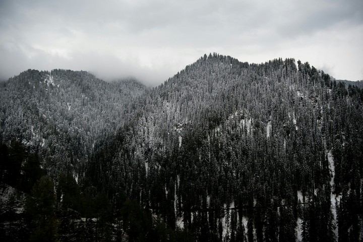 Fresh Snowfall