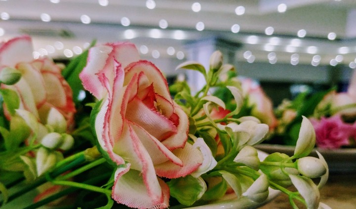 Love Rose