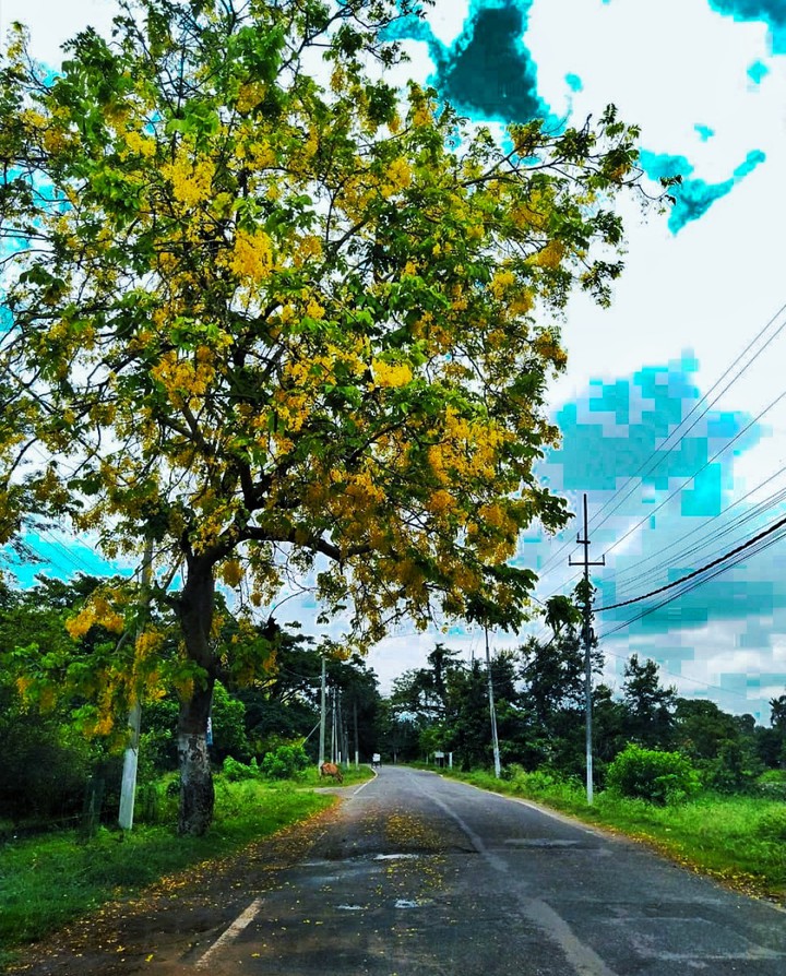 roads