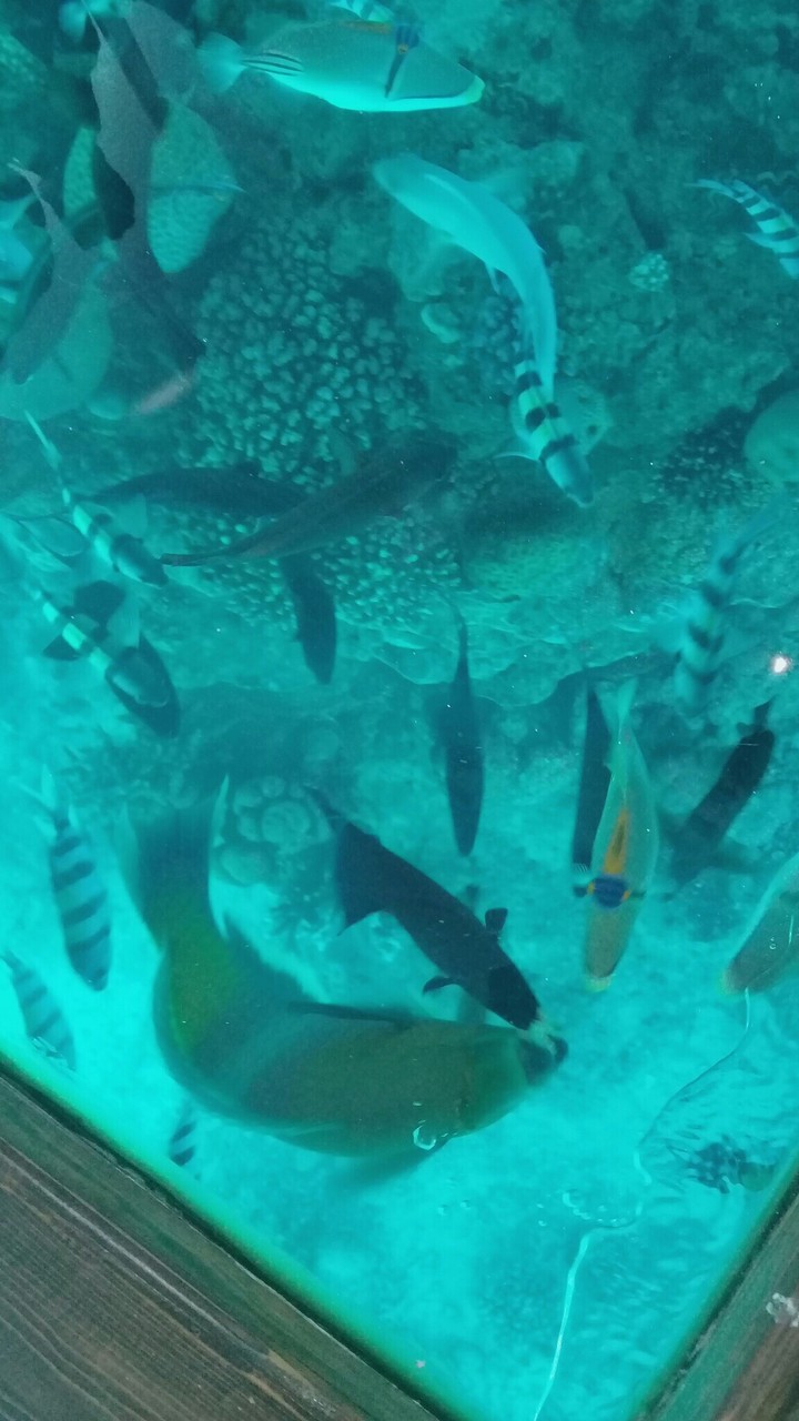 Under water !!