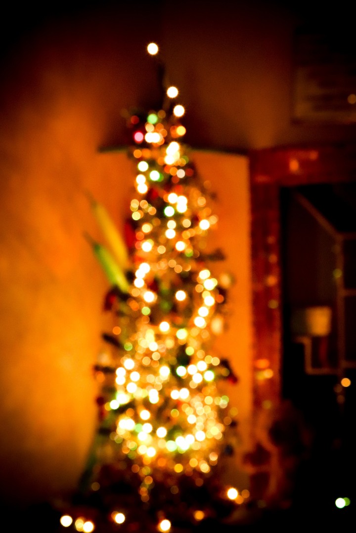 xmas tree