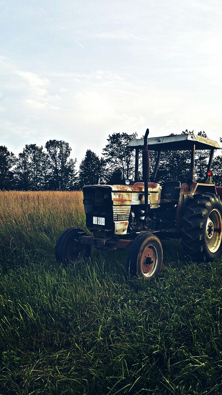 Tractor in the fields