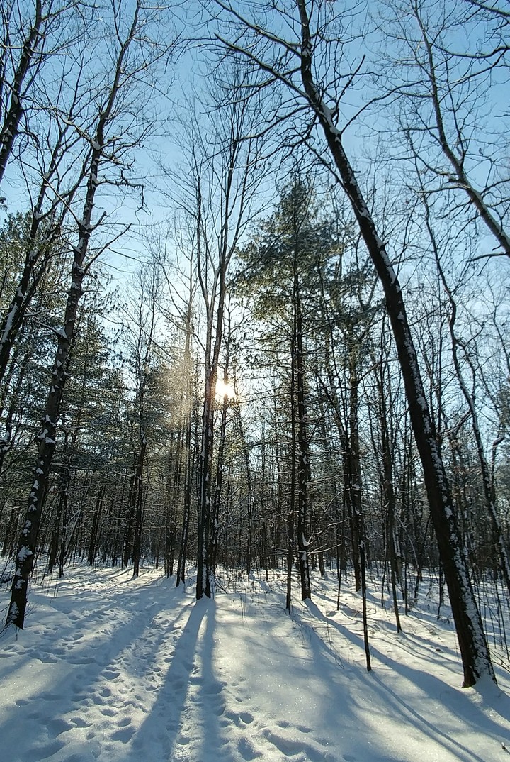 Poussière de neige