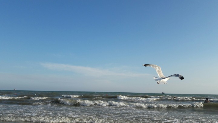 black sea