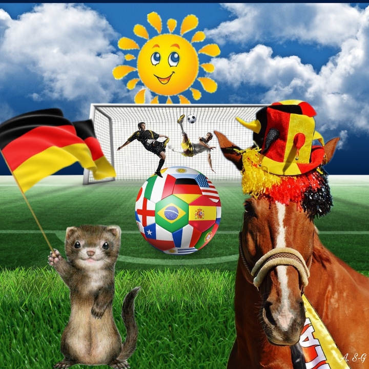 Fußball WM