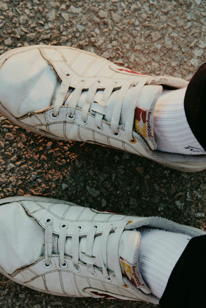 trainers.