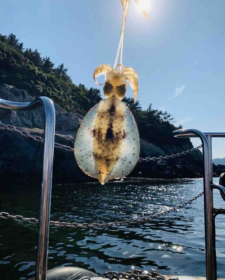 ?