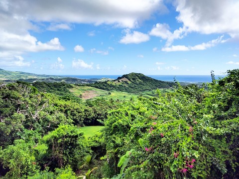 Beautiful Barbados