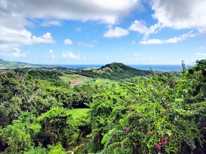 Beautiful Barbados
