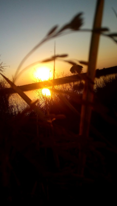 hình nền sky, sunrise