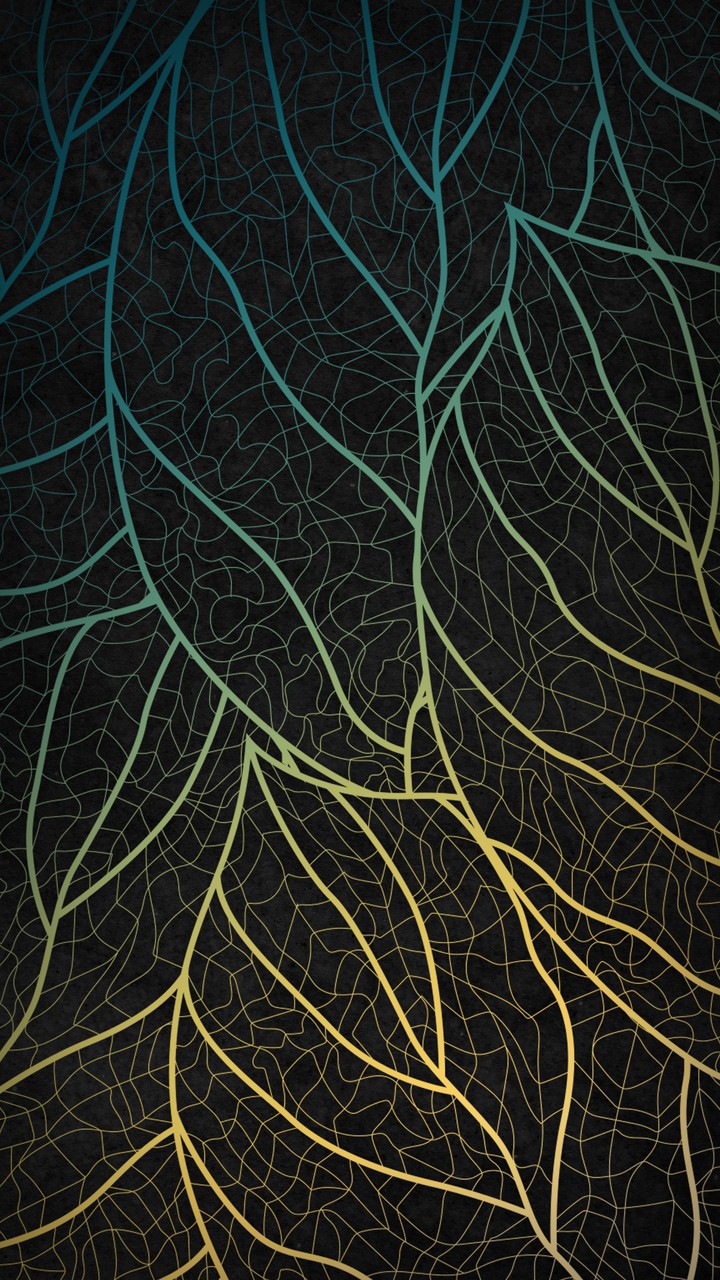 Texture