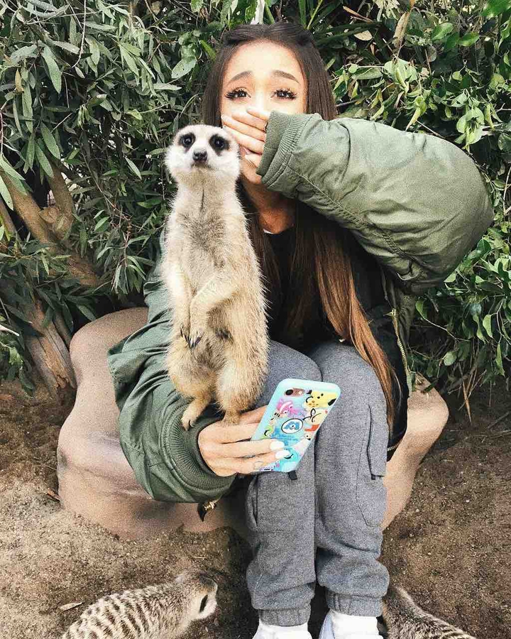 Ariana is Shockt?