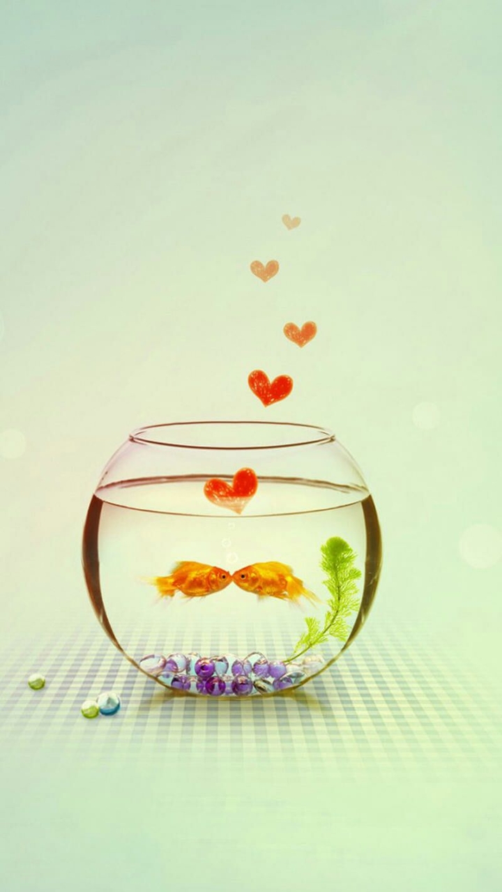 love birds