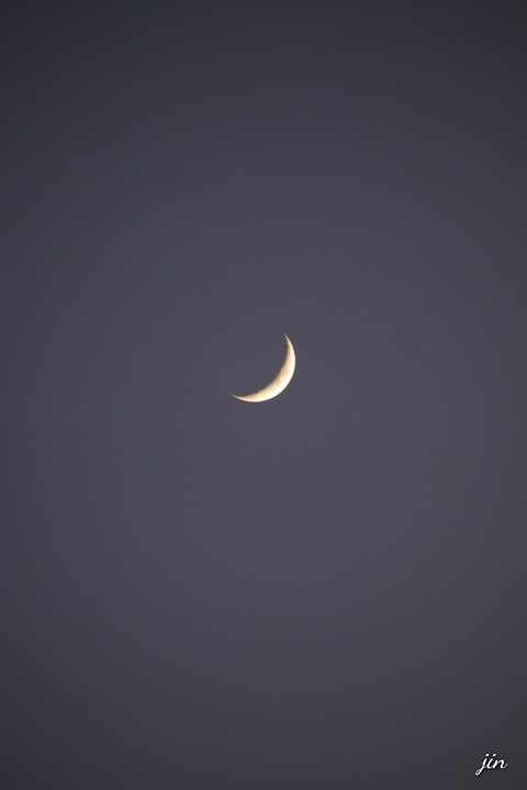 hình nền moonlight, crescent