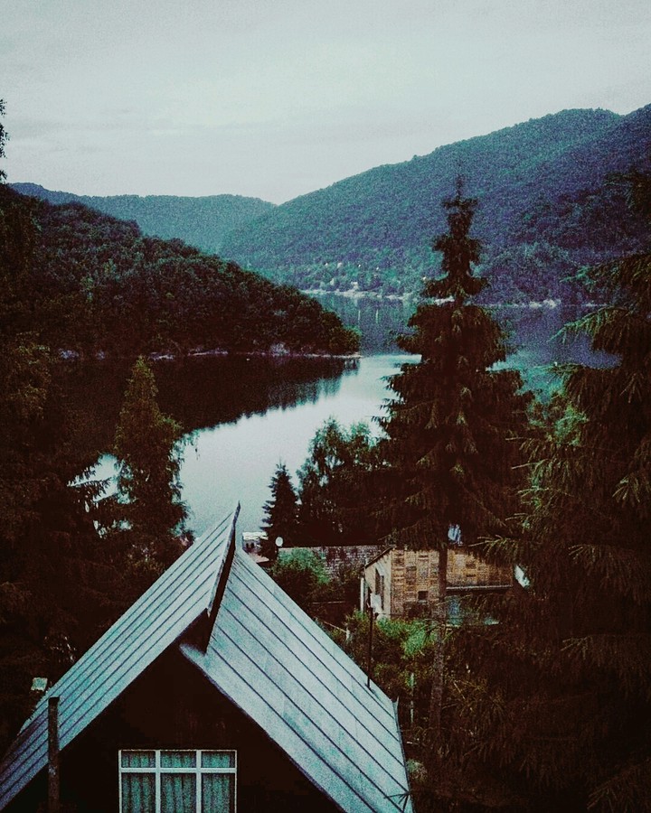 cabin in the woods