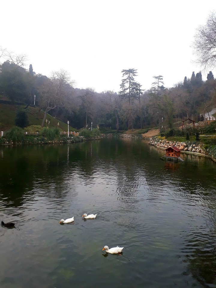 sakinlik