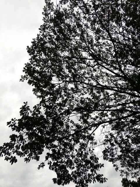 darkness