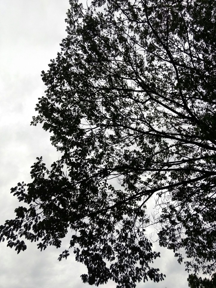 darkness