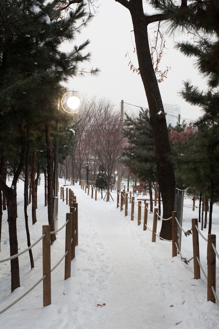 Winter