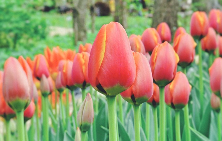 Beautiful spring...