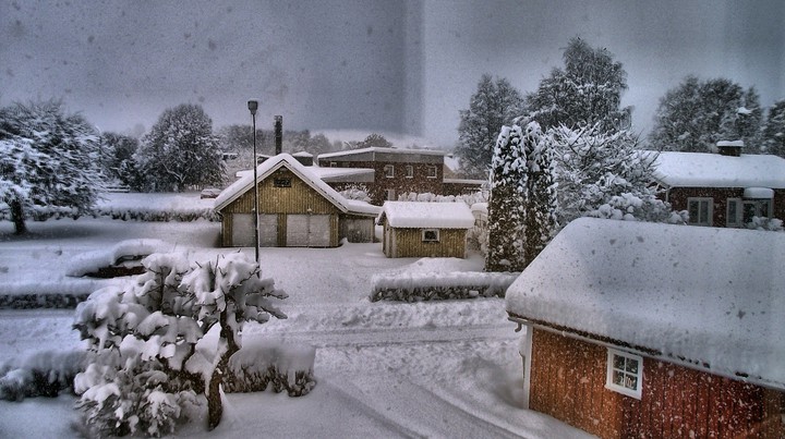 Winter