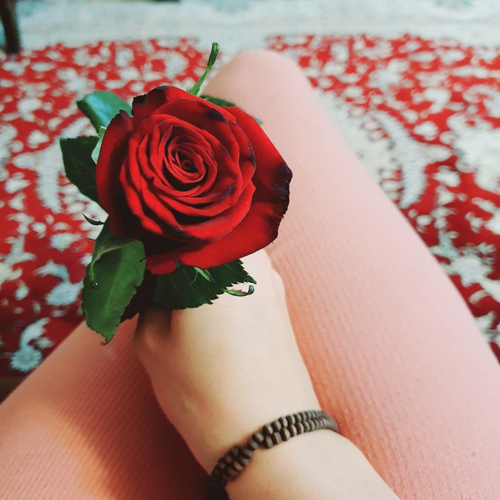 the roze