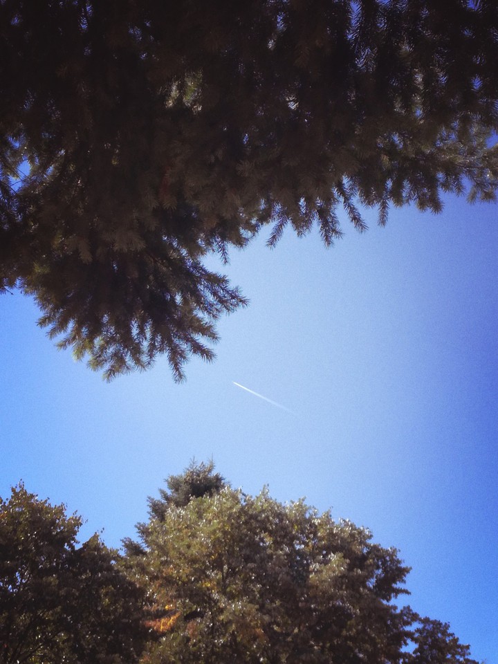 plane