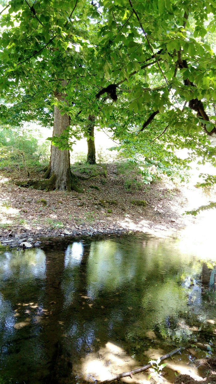 beautiful nature