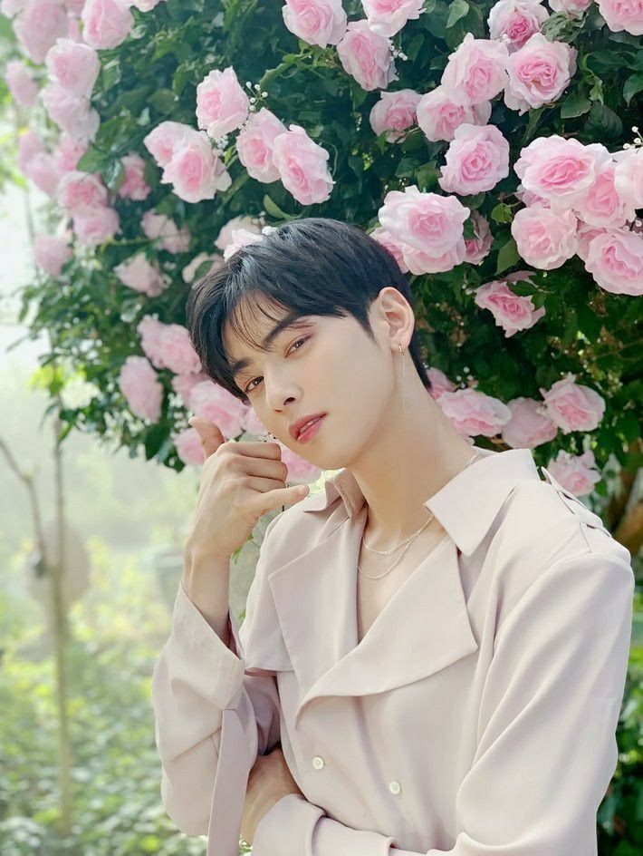Korean actor ChaEunwoo