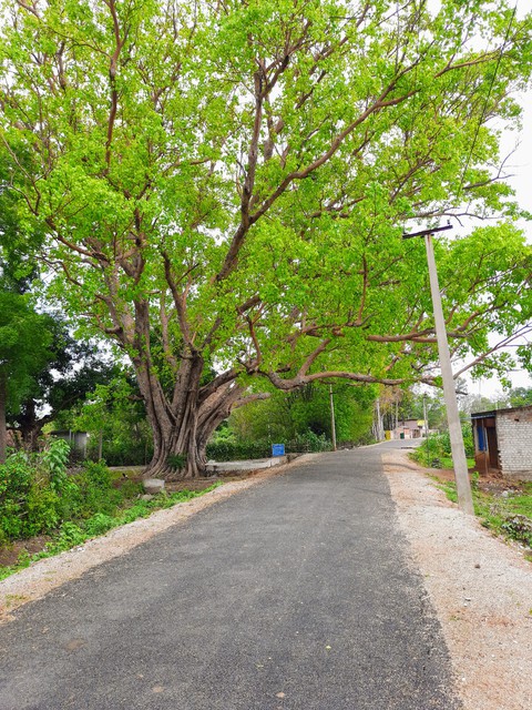 odisha kendujhar