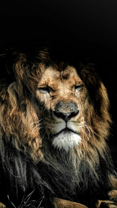 #The King