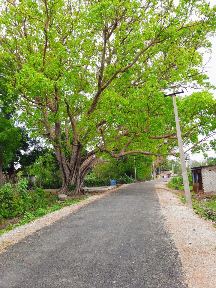 odisha kendujhar