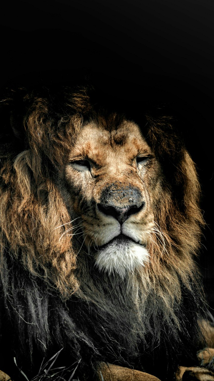 #The King