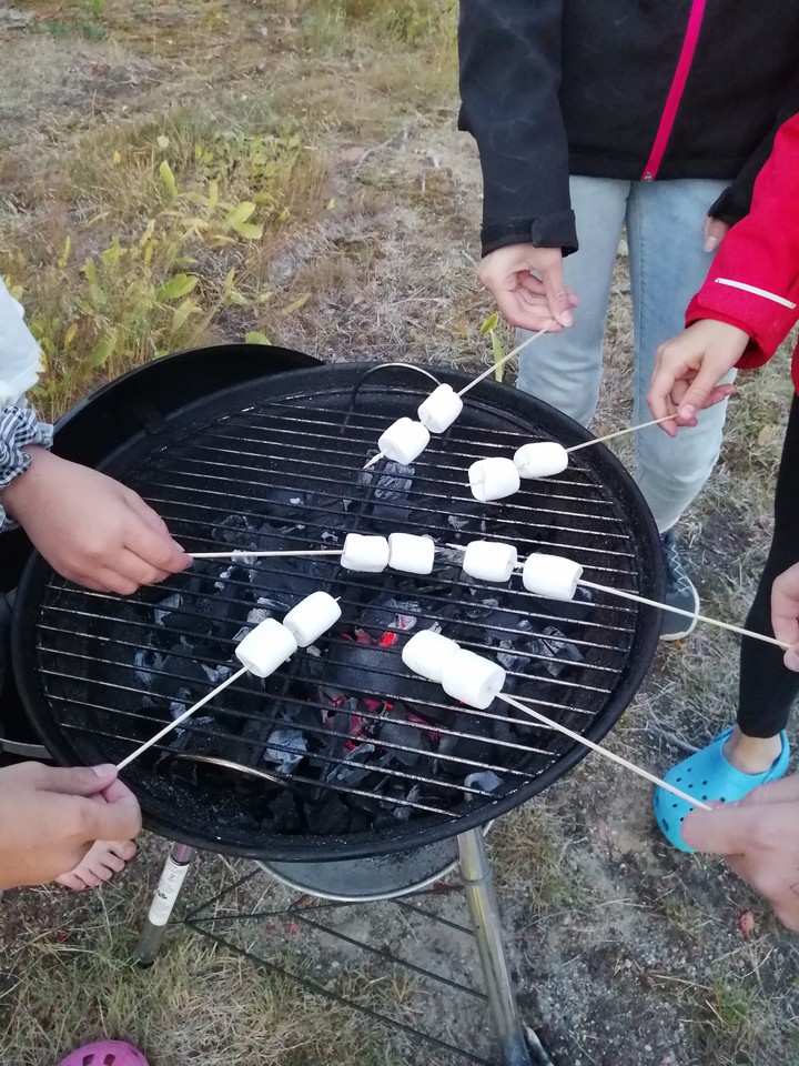 marshmello