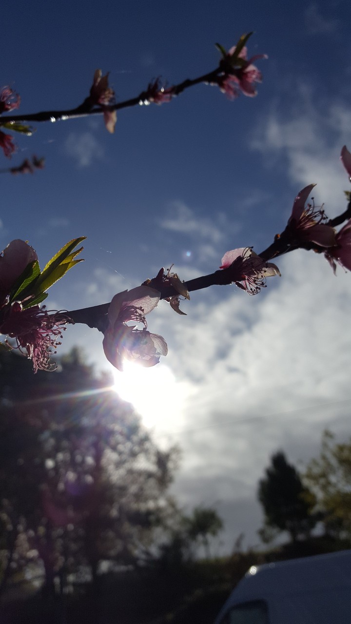 Spring