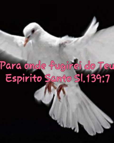 MARAVILHOSO ESPÍRITO SANTO