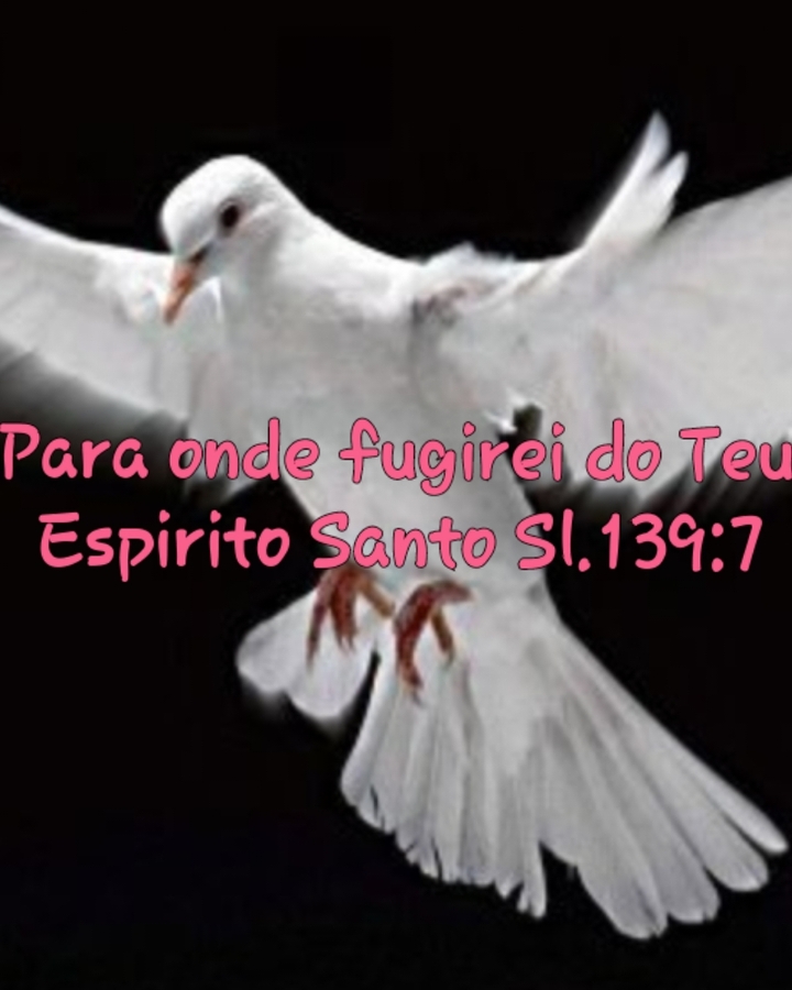MARAVILHOSO ESPÍRITO SANTO
