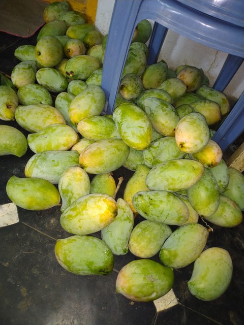 Mangoes