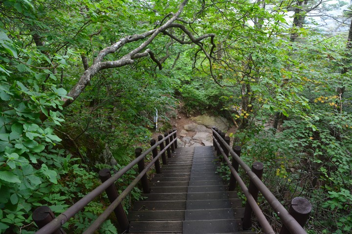 지리산이미지